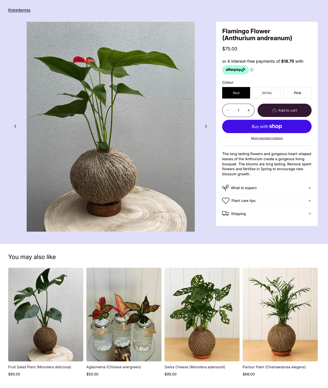 Pip and Rose Design product page