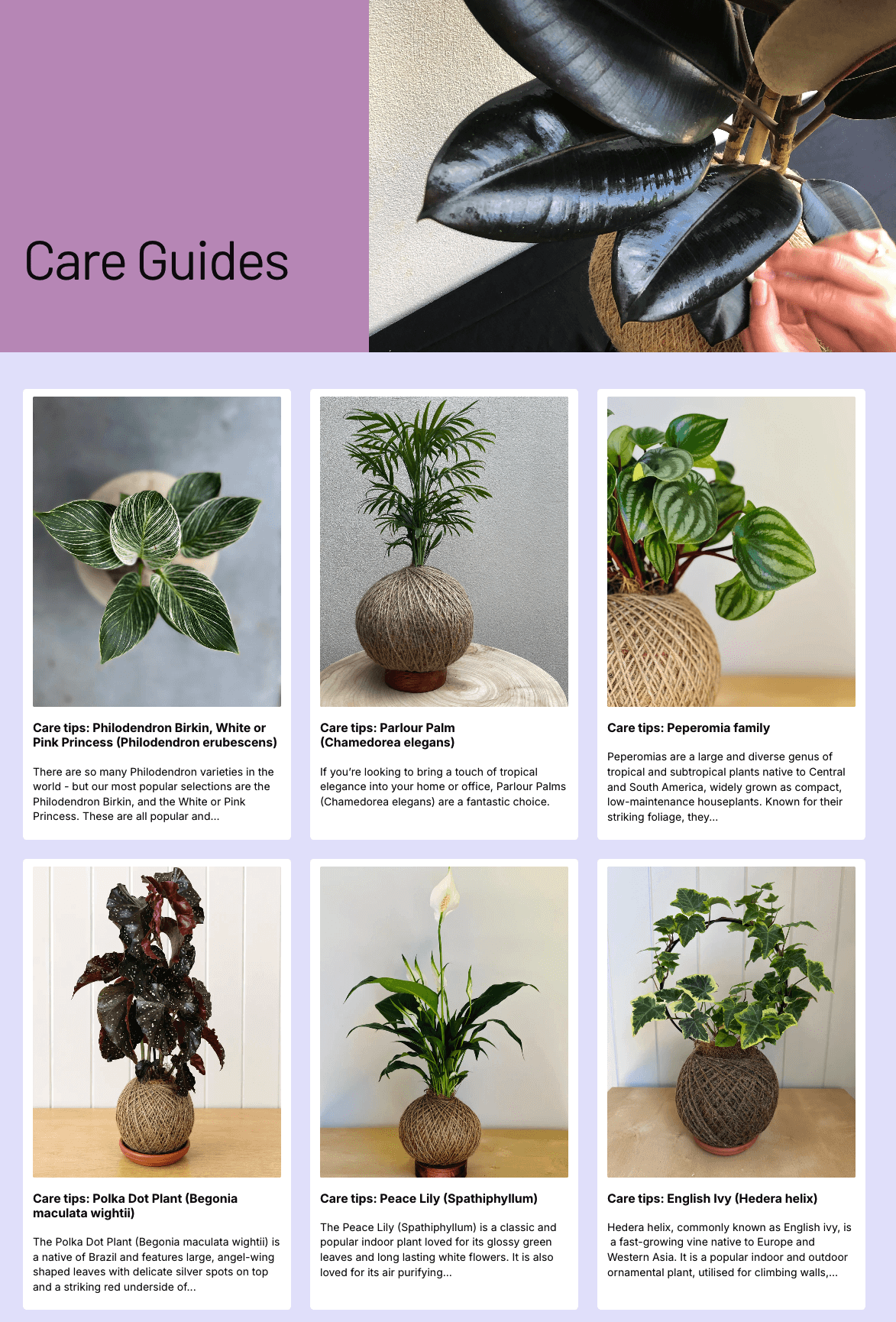 Pip and Rose Design care guides page