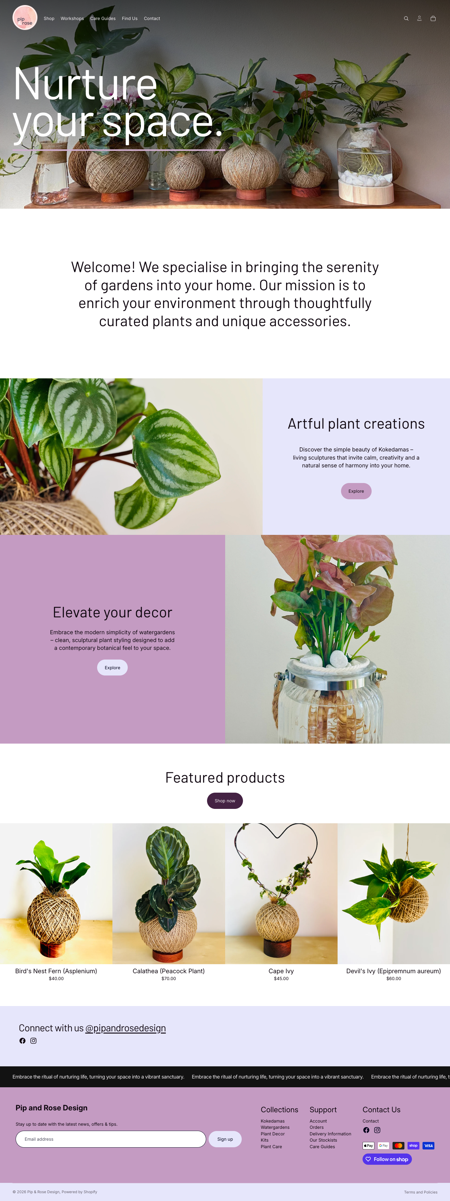Pip and Rose Design homepage