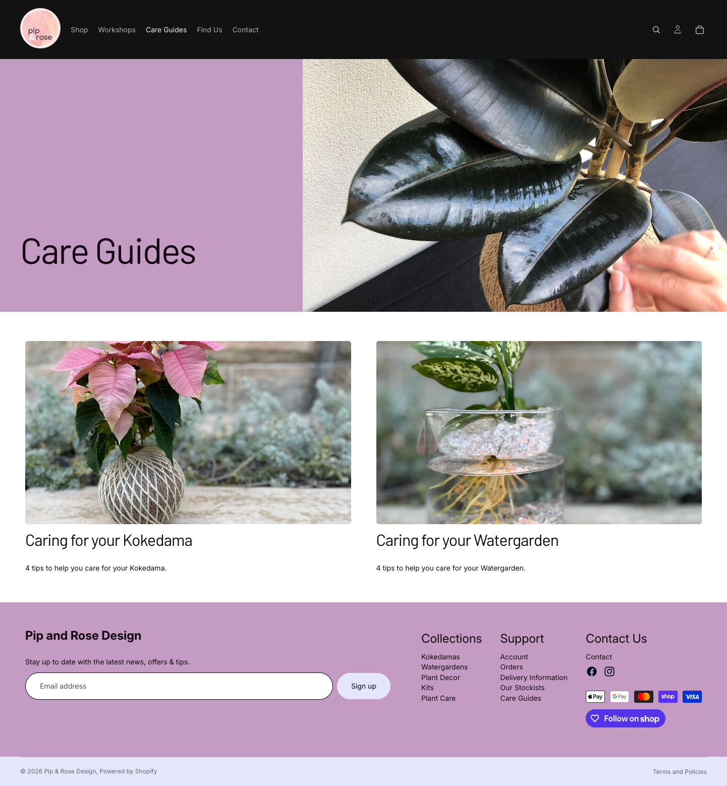 Pip and Rose Design care guides hub