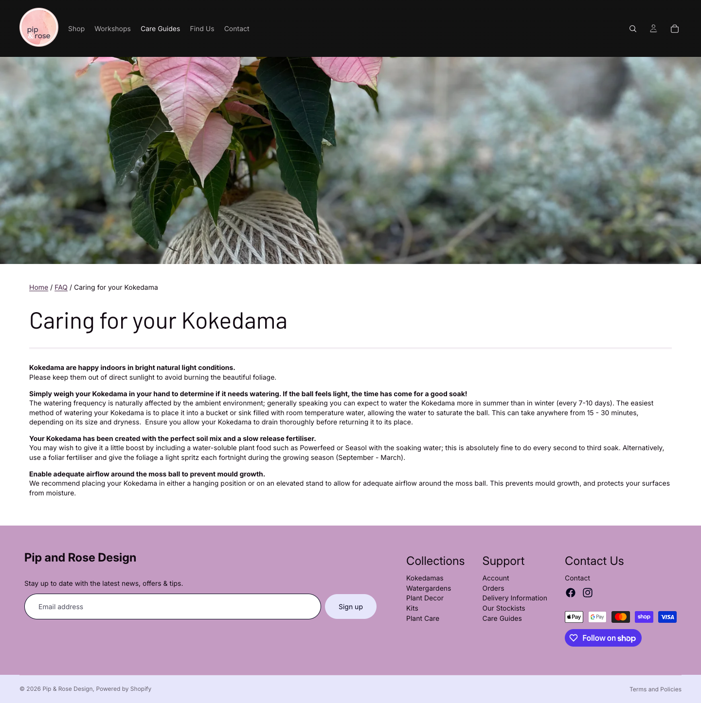 Pip and Rose Design individual care guide article