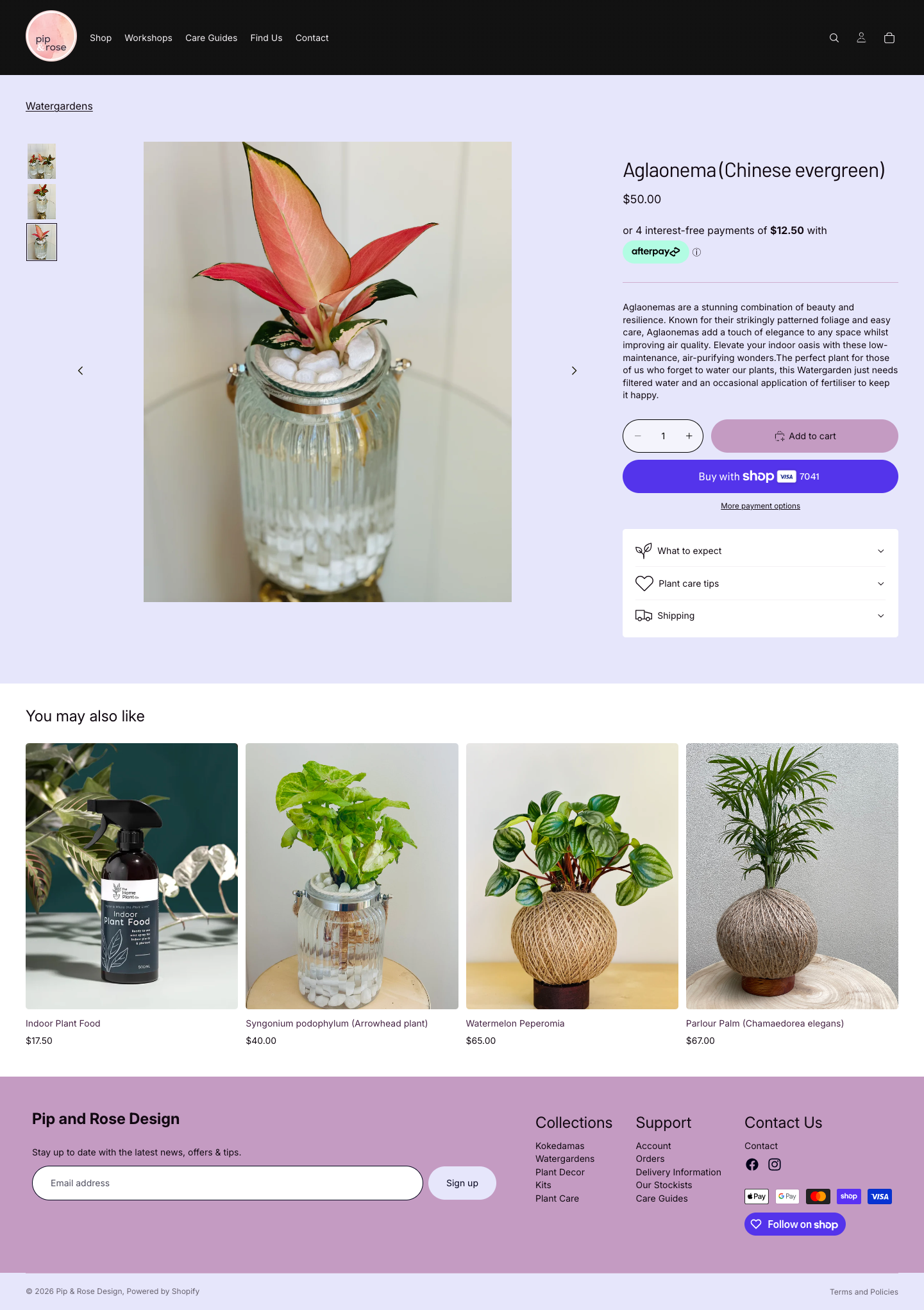 Pip and Rose Design product page